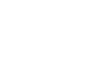 Logo Carosello 3000
